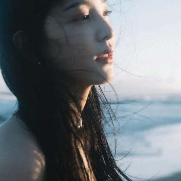 白玫瑰